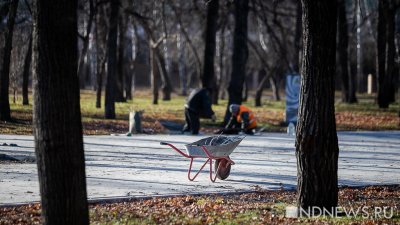 Мэрия Екатеринбурга подготовит проект благоустройства «собачьего» парка, победившего в голосовании
